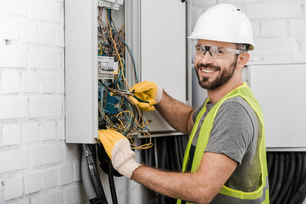 Best Electric Panel Repair  in Rising Sun, MD