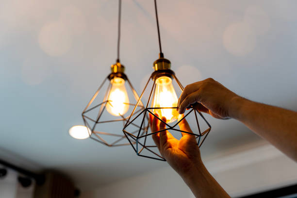 Best Electric Panel Repair  in Rising Sun, MD